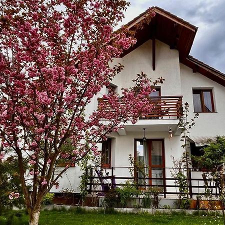 Cristina House Apartment Brasov Luaran gambar