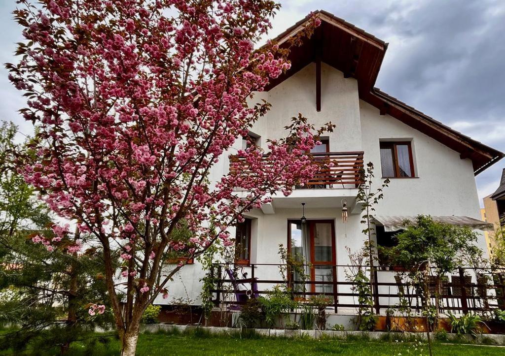 Cristina House Apartment Brasov Luaran gambar